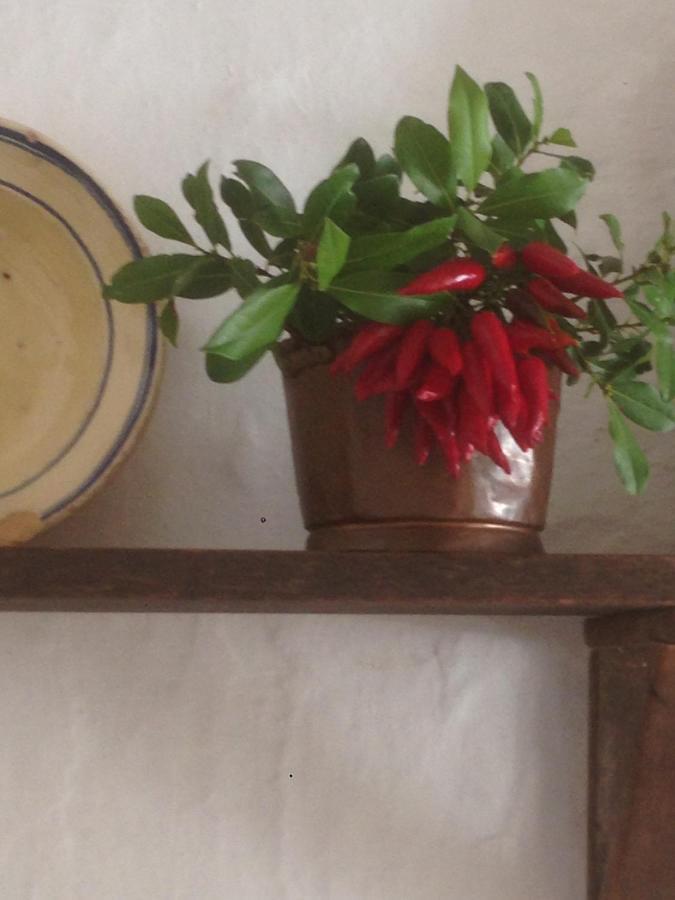 Bed and Breakfast Borgo Trulli 1789 Ostuni Exterior foto
